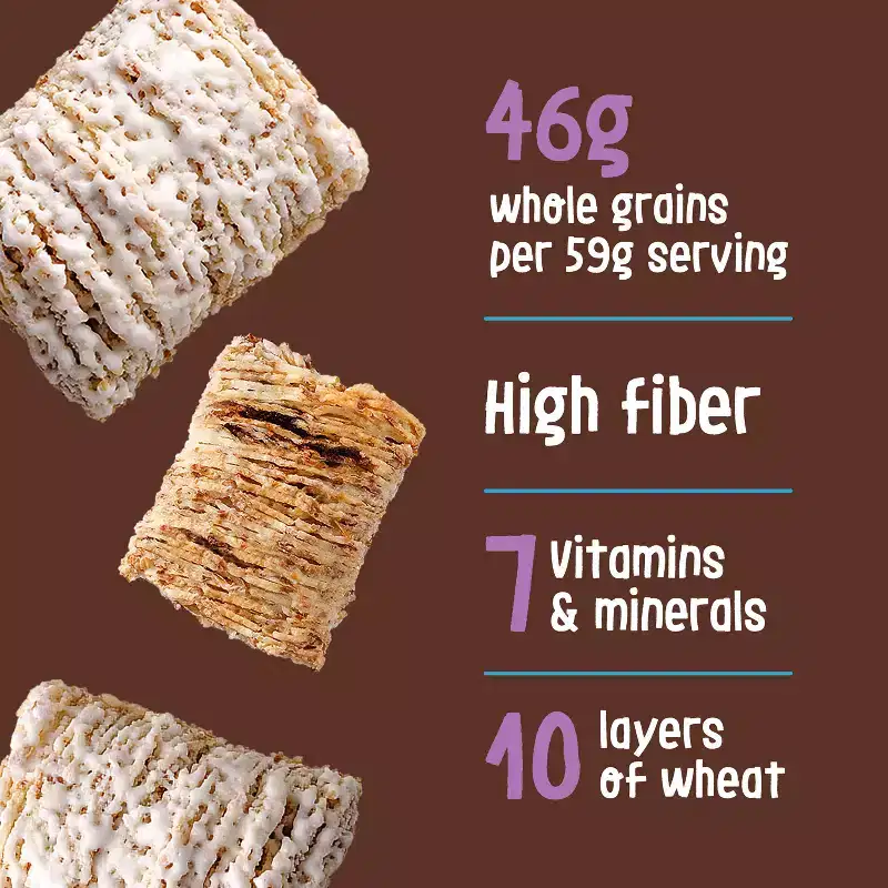 Kellogg's Frosted Mini Wheats Cocoa Breakfast Cereal - 20oz