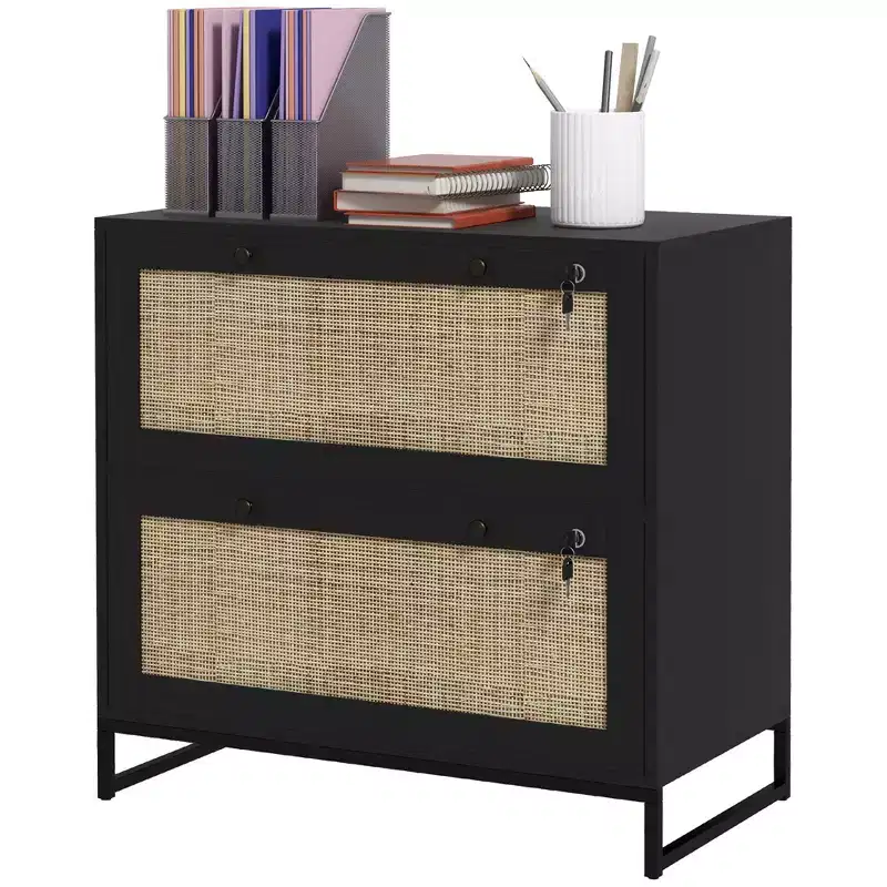 Lockable Filing Cabinet, Boho 2 Drawer File Cabinet with Adjustable Hanging Bar for Letter, A4 and Legal Size