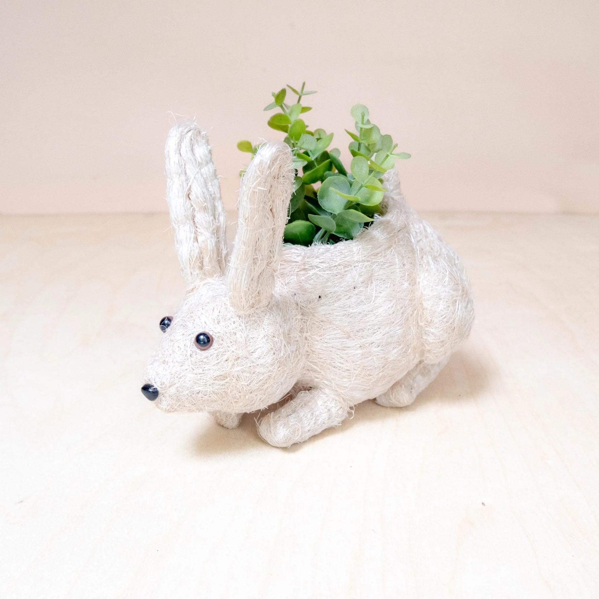 Baby Bunny Planter - Coco Coir Pots