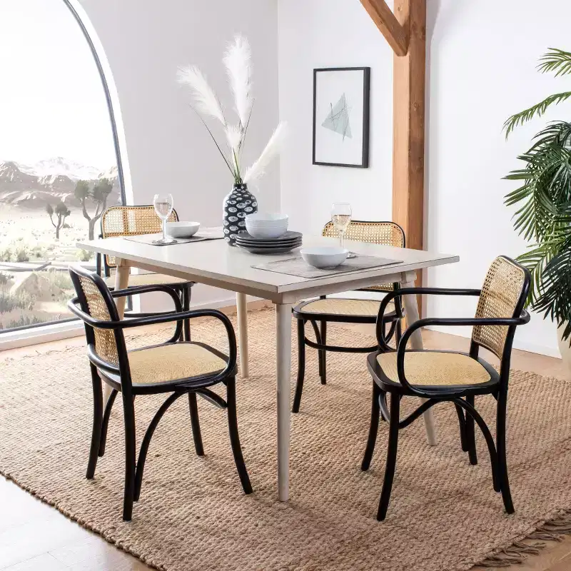 Keiko Cane Dining Chair - DCH9503 - Safavieh