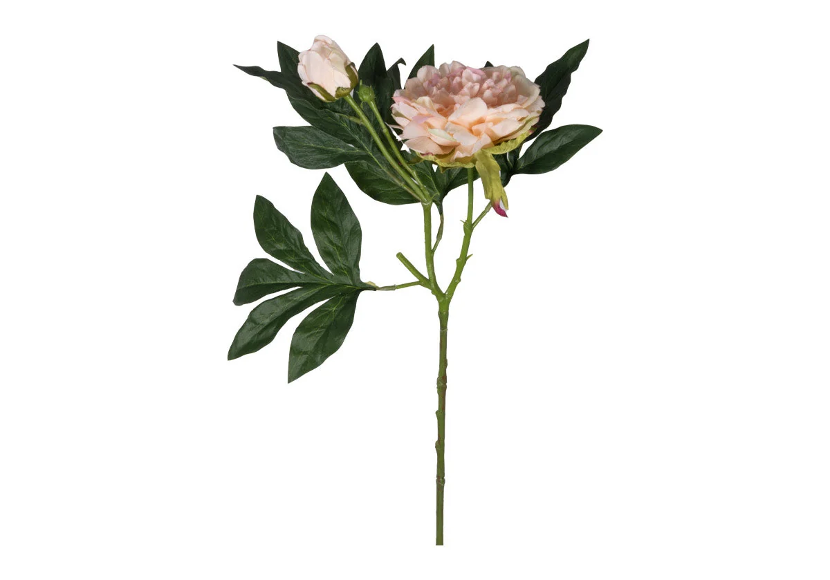 Romantic Silk Peony Stem with Open Blush Blossom for Living Room & Dining Room
