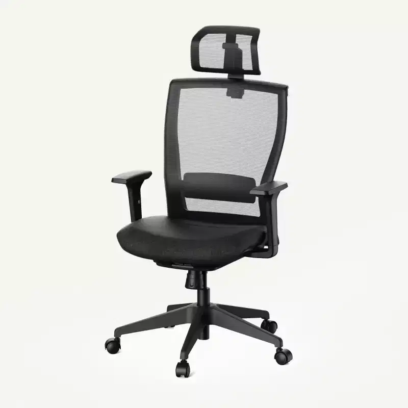 FLEXISPOT C4 Standard Ergonomic Office Chair, Foam Seat Cushion, Black