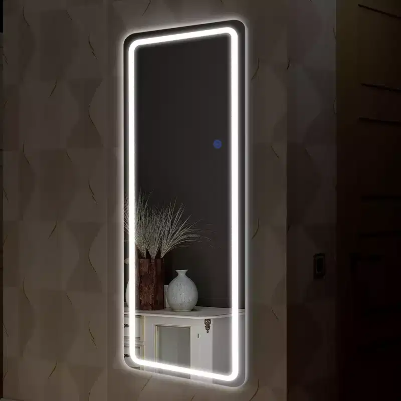 PexFix 20 in. W x 63 in. H Modern Full Length Rectangular LED Vanity Mirror with Lights in Silver