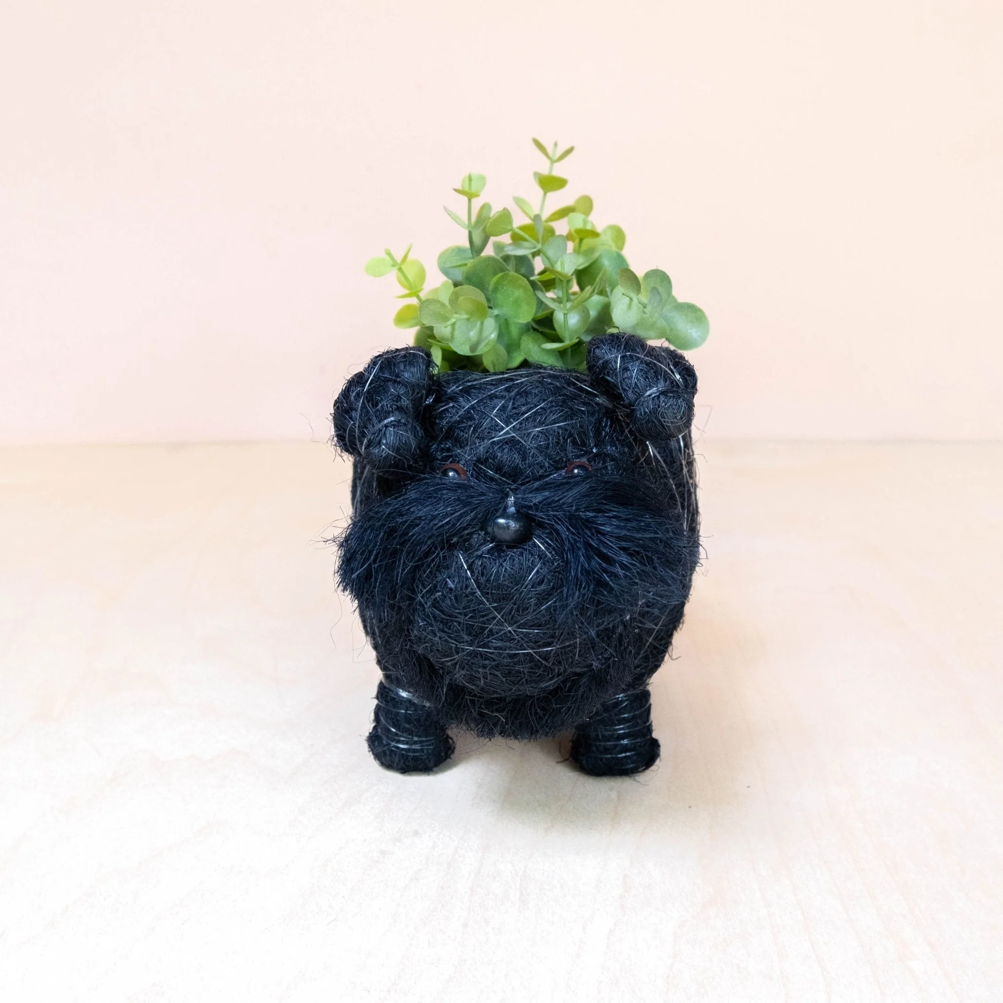 Baby Schnauzer Planter - Coco Coir Planter