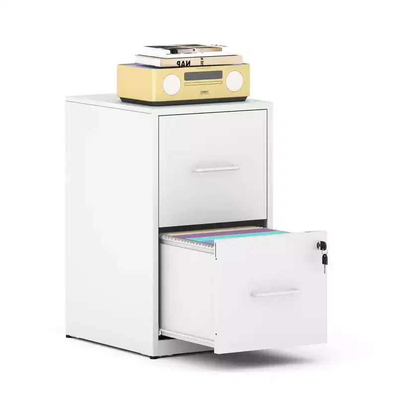 VIYET 25H 2-Drawer Lockable Vertical File Cabinet,Heavy-Duty Steel for Letter/Legal/A4/F4,Anti-Tip for Home Office(white)