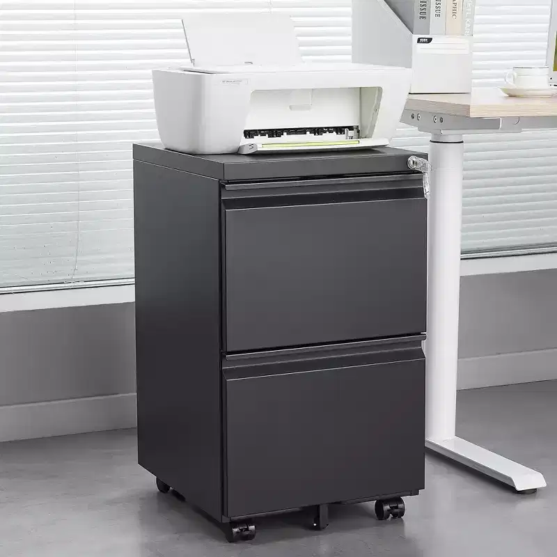 Black 2-Drawer Lockable Rolling Metal File Cabinet, Under-Desk Mobile, 1-Person Use