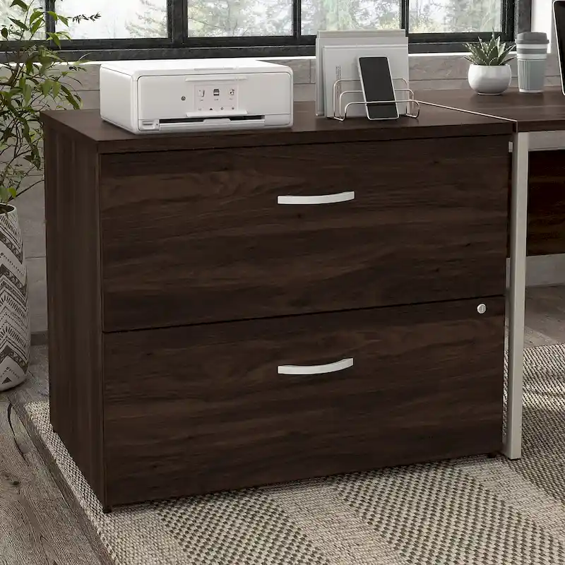Hybrid 2 Drawer Lateral File Cabinet by