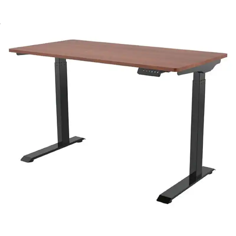 Electric Sit Stand Desk