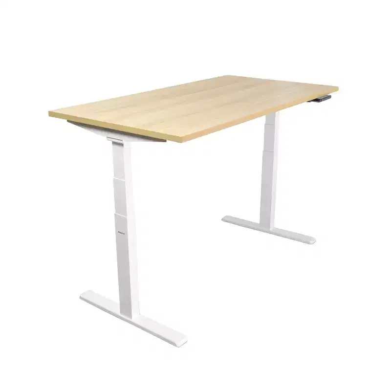 Dual Motor Electric Standing Desk with 55