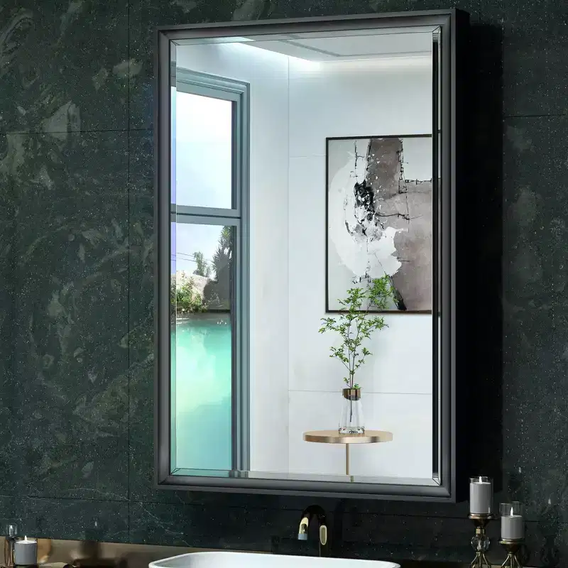 Keonjinn 24 in. W x 36 in. H Metal Framed Black Rectangular Framed Recessed/Surface Mount with Mirror,Black