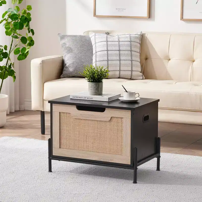 Entryway Bench with Storage, Storage Benches for Living Room Bedroom Organizer Seat
