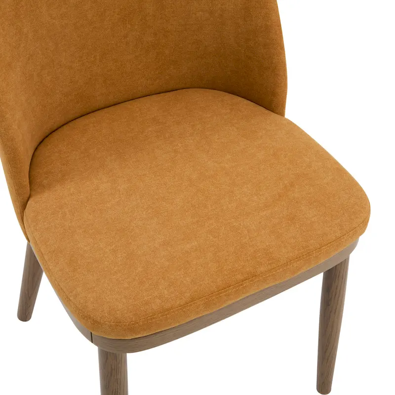 Aviana Fabric Upholstered Dining Chairs (Set of 2) by Christopher Knight Home