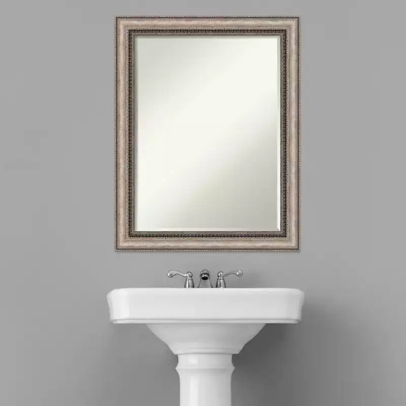 Petite Bevel Bathroom Wall Mirror, Ornate Silver Frame, 22.25
