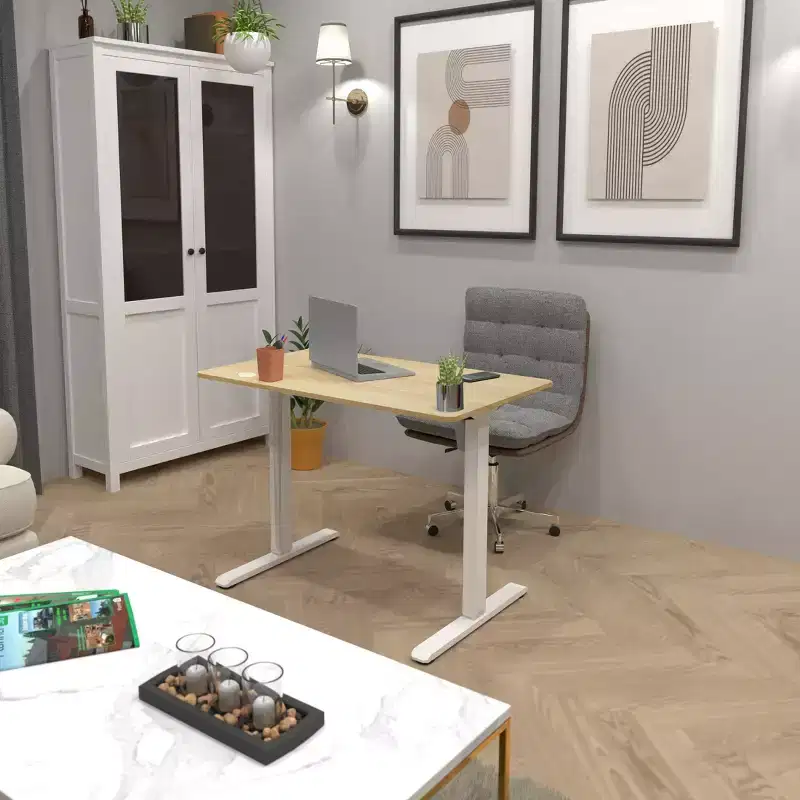 Compact Electric Standing Desk with 48 Tabletop