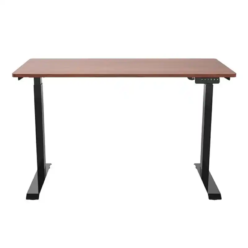 Electric Sit Stand Desk