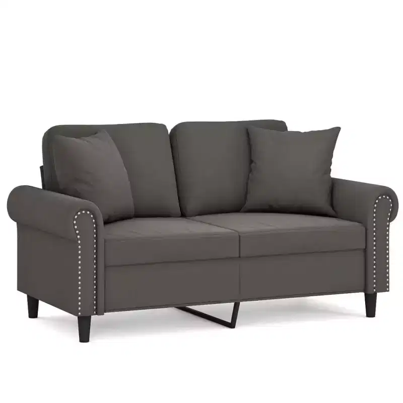 vidaXL Velvet 2-Seater Sofa with Pillows and Cushions in Dark Gray - Cozy, Modern Design for Living Room, Lounge, or Home Office