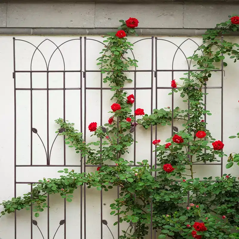 MAYEERTY 2 Pack 71 x 17.7 Brown Rustproof Metal Garden Trellis for Climbing Plants