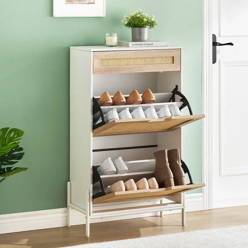 2-Door Flip Shoe Cabinet with Drawer