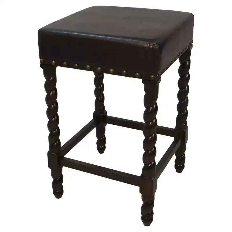 Carolina Living 24 Cadmus Counter Height Barstool