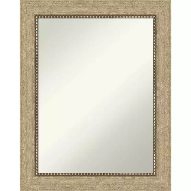 23" x 29" Non-Beveled Astor Champagne Wall Mirror - Amanti Art
