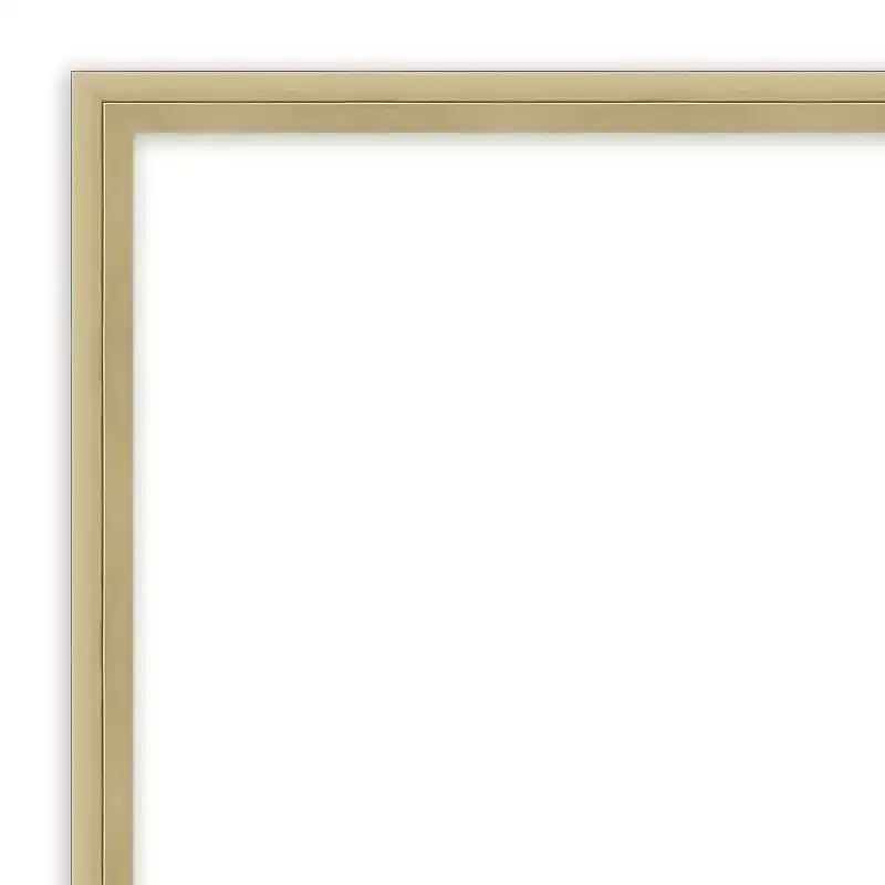 Champagne Non-Beveled Wood Wall Mirror 25.25 x 19.25 in.