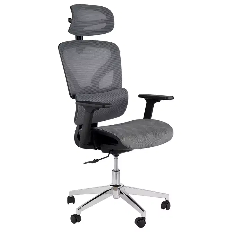 Ergonomic High Back Mesh Office Chair - 4D Adjustable Armrests, Dynamic Lumbar Support, Sliding Seat, Headrest, and Silent Casters