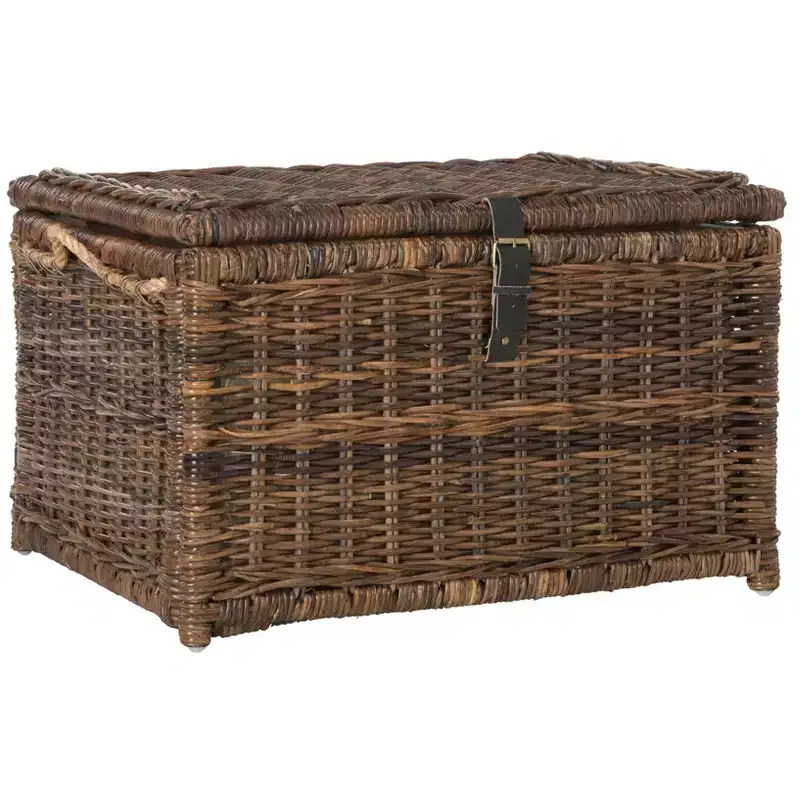 happimess Caden 30 Wicker Storage Trunk