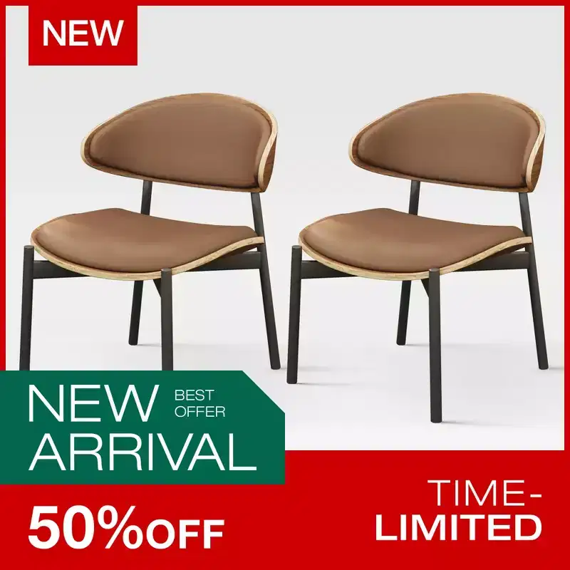 Luck Live Modern Dining Chairs Set of 2 Outdoor Chairs /Armless Chairs Brown&Metal Frame