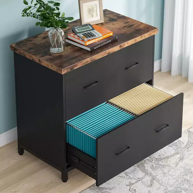 Lantine 2-drawer File Cabinet, Wooden Lateral Filing Cabinet, Home Office File Cabinet for A4, Letter Size