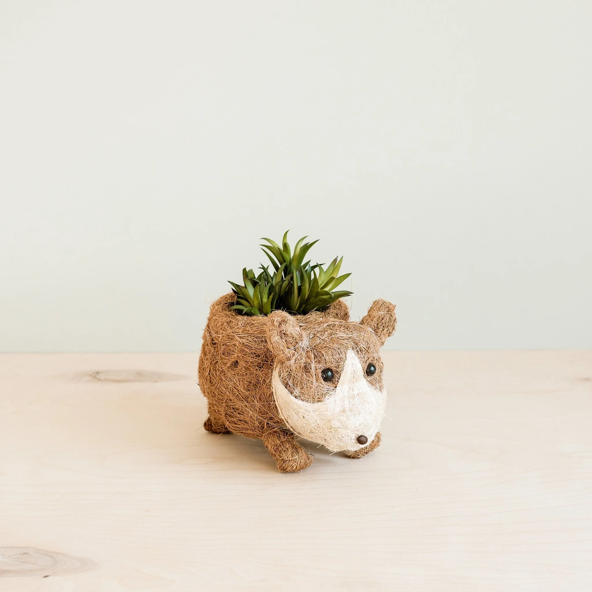 Baby Corgi Succulent Pot - Handmade Planters