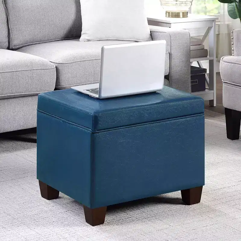 Storage Ottoman with Padded Seat