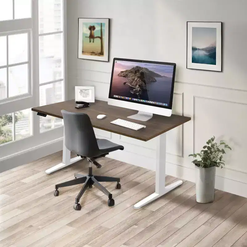 Dual Motor Electric Standing Desk with 55