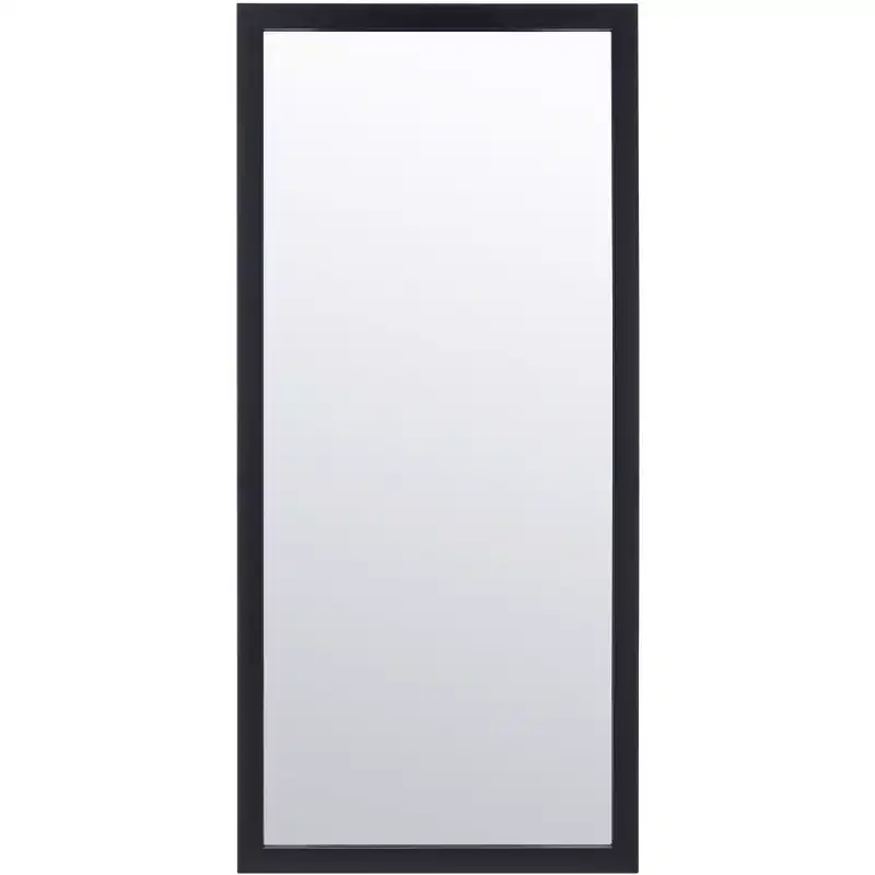 18 x 39.5 in. Brass Iron Rectangular Wall Mirror