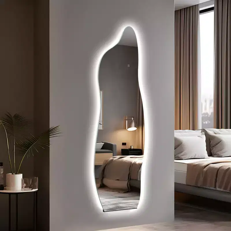 PexFix 24 in. W x 63 in. H Full Length Irregular Mirror in Silver