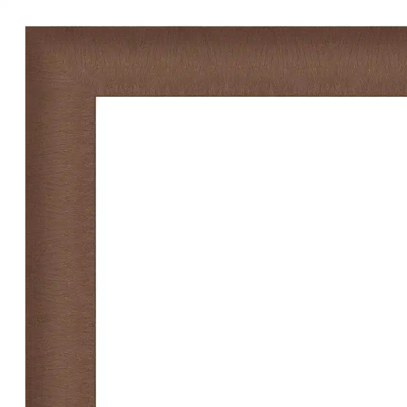 Amanti Art Elegant Brushed Petite Bevel Bathroom Wall Mirror