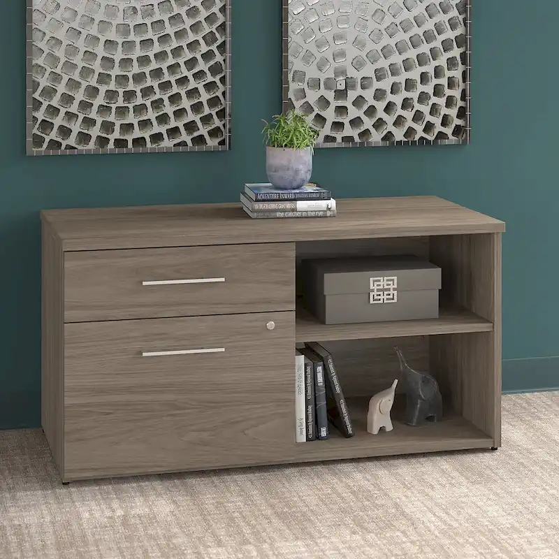 Low Storage Cabinet with File Drawer