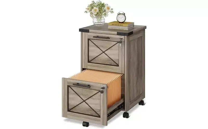 DEXYLLO 2 Drawer File Cabinet with Hanging Files, Mobile Rolling Storage Cabinet for Home Office, Under Desk Filing Cabinet with Lock