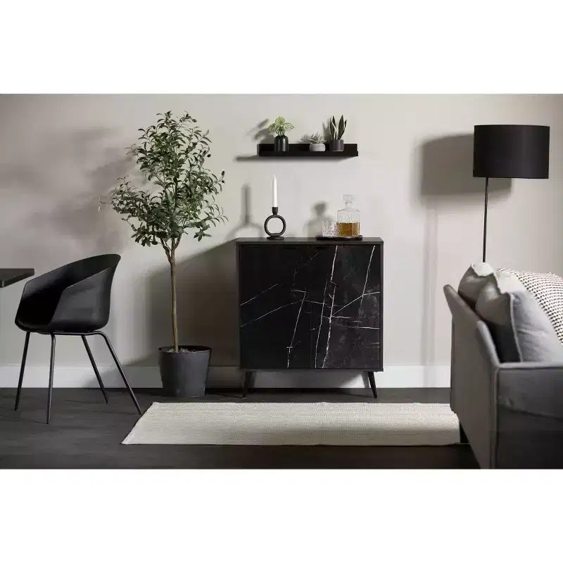 2-Door Storage Cabinet, Black Oak/Black