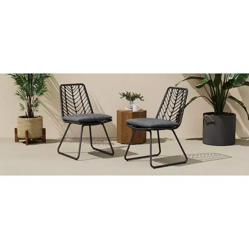 MAYEERTY Set of 2 Chairs With 2 Gray Cushions Comfortable Seating for Living Room Dining Room