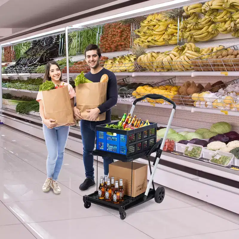 Foldable Shopping Carts for Groceries, 2-Tier Collapsible Grocery Carts with Wheels and Removable Storage Crate, Aluminum Frame Folding Trolley