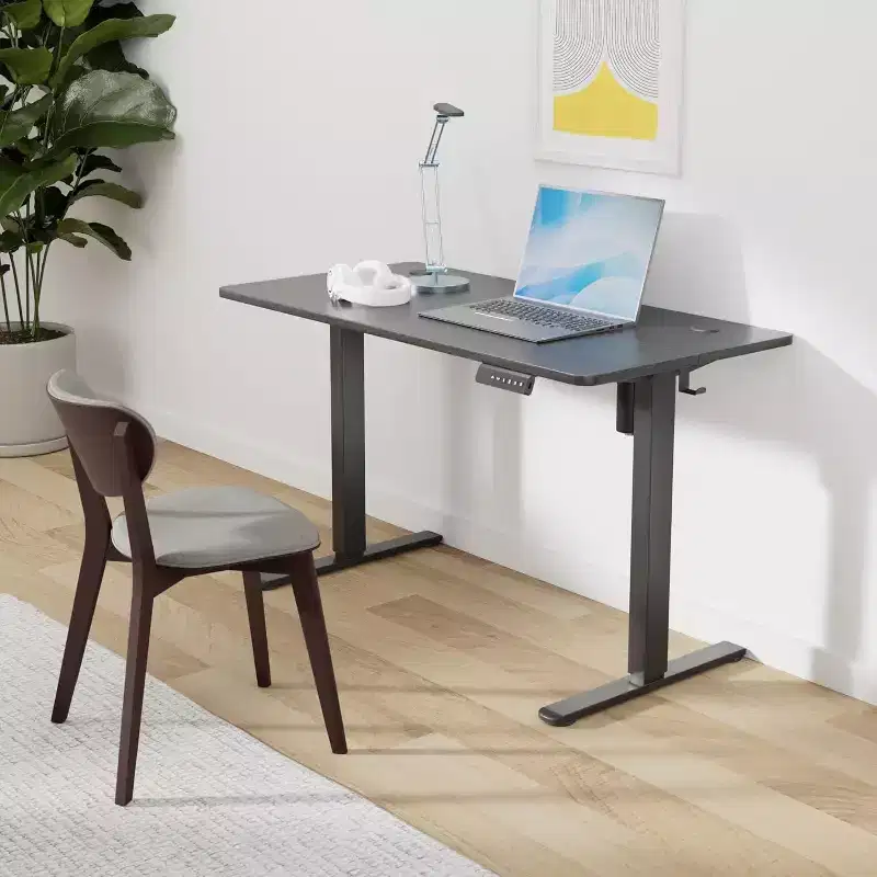 PexFix 48 x 24 Electric Standing Desk Walnut Desktop Height Adjustable Computer Desk Stand up Home Office Desk with Splice Board