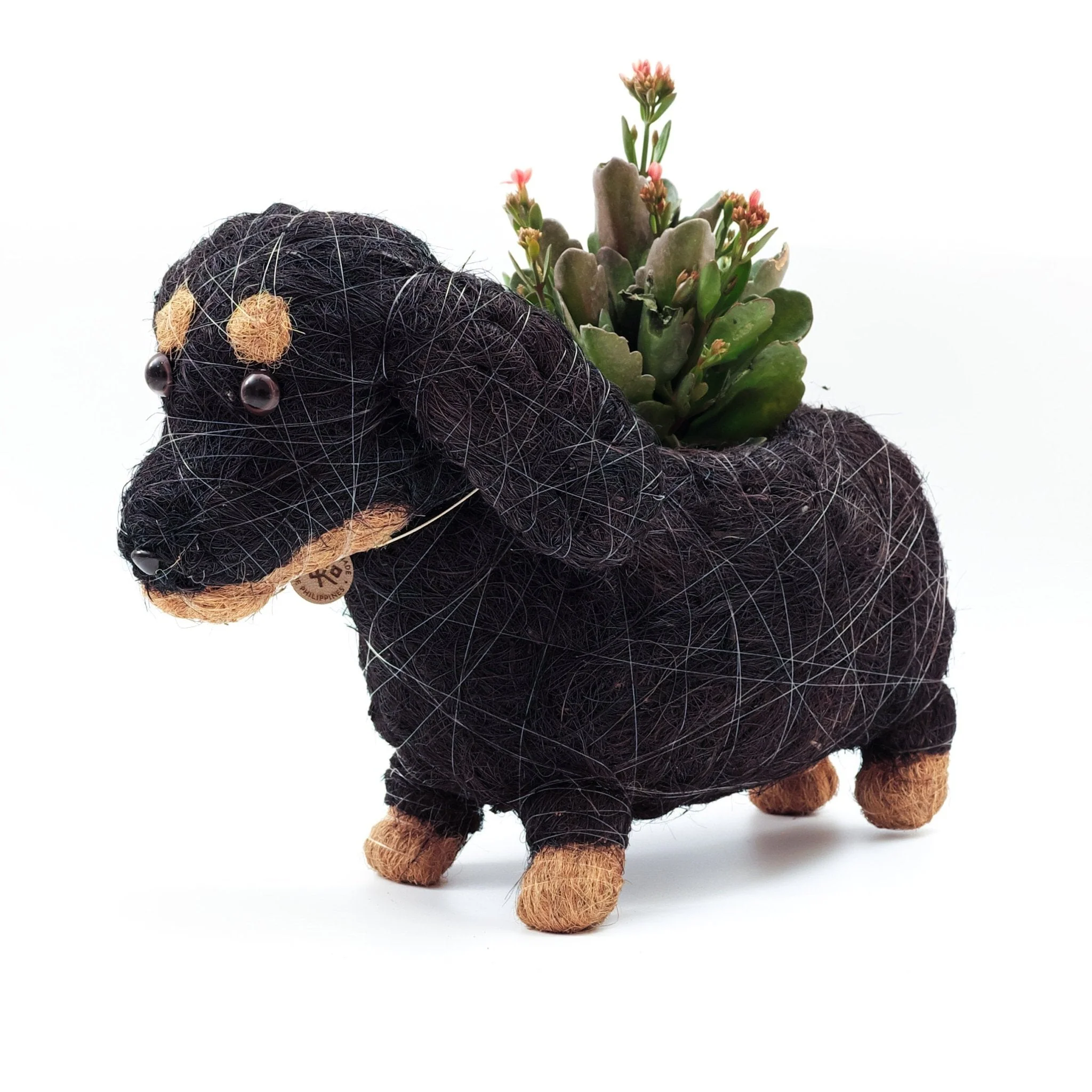 Baby Dachshund - Coco Coir Pots