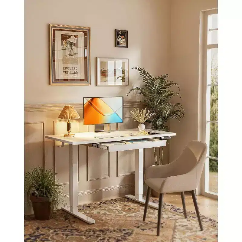 Electric Standing Desk with Drawers, 48X24 Height Adjustable Desk with 4 Preset, Home Office Computer Table, White