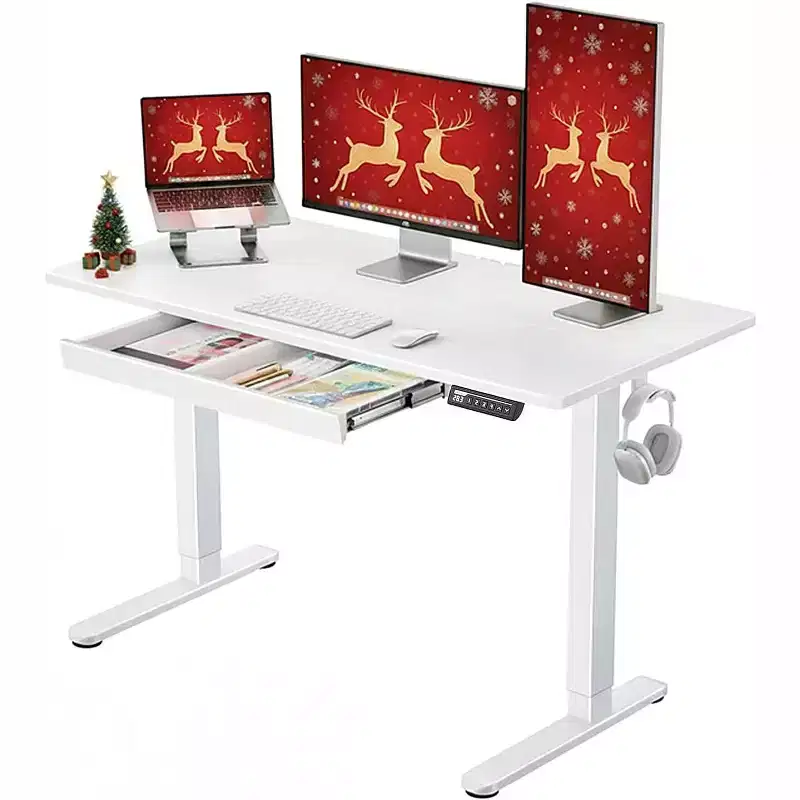 Electric Standing Desk with Drawers, 48X24 Height Adjustable Desk with 4 Preset, Home Office Computer Table, White