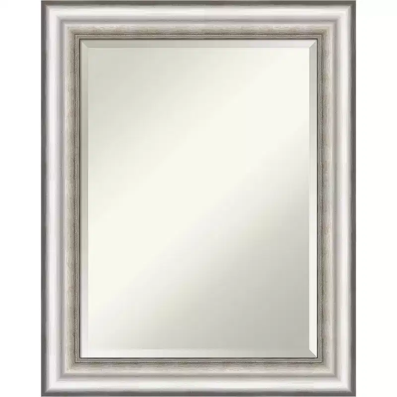 23" x 29" Salon Framed Wall Mirror Silver - Amanti Art: Modern Rectangle, Beveled, No Assembly Required