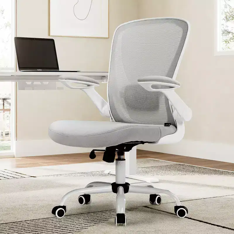 EUREKA ERGONOMIC ONYX Series, Ergonomic Office Chair