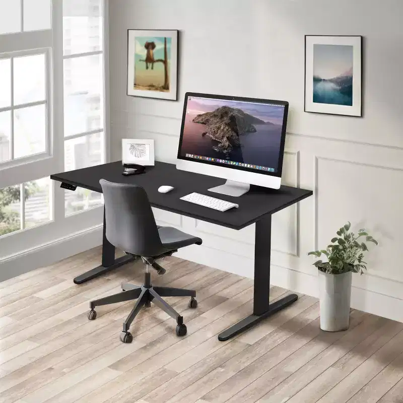 Dual Motor Electric Standing Desk with 55 Tabletop, Black
