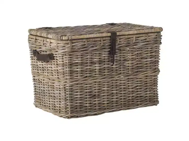Amancio Trunk - SEA7021 - Grey - Safavieh