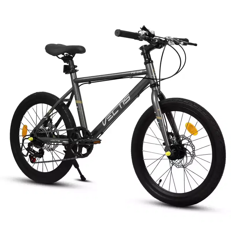 Okak 20IN Toddler Bike with 7-Speed and Steel Frame, Kids Bike with Dual Disc Brakes and 1.75IN Tires, Kids Cruiser Bikes for Boys & Girls