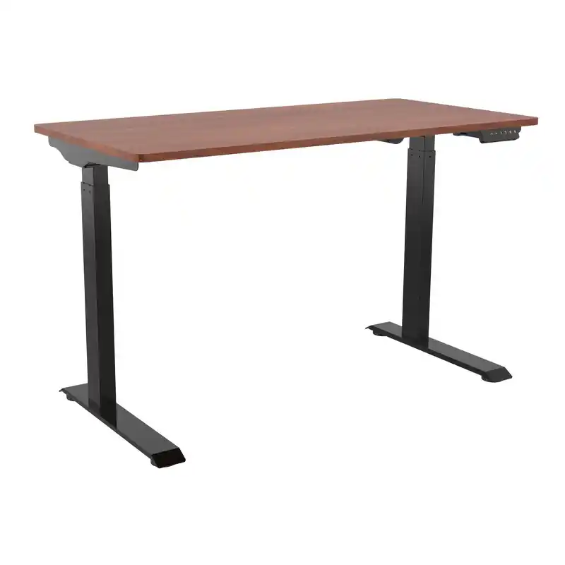 Electric Sit Stand Desk